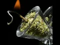 Download Lagu Sm0ke WEED Everyday