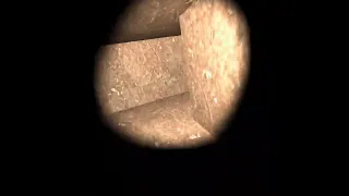 Level 2 Capuchin Horror mode