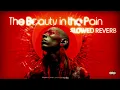 The Beauty in the Pain Slowed Reverb With Lyrics SNX