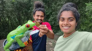 പണം കായ്ക്കുന്ന തവള 🐸🐸 The Rich Frog 🐸🐸🐸