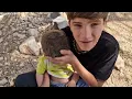 🔥😱 Talib’s Shocking Request to Save a Pregnant Mother and Her 8 Children in the Mountains! 💔⛰️