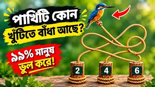 পাখিটি কোন খুঁটিতে বাঁধা? 🤔 | ৯৯% মানুষই ভুল উত্তর দেবে! 😱