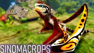 SINOMACROPS - Dino Dossier
