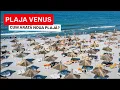 Download Lagu 🔴 VENUS în 2025 - 350 lei CAZARE în STAȚIUNE, 85 lei o MASĂ de 1 PERSOANĂ, PLAJĂ LĂȚITĂ, condiții 0