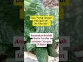 Download Lagu Doa Untuk Diri Sendiri