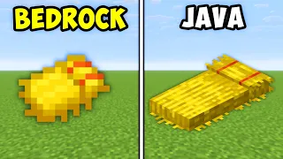 30 Minecraft Java vs Bedrock Things