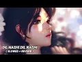 Lagu DIL NASHI DIL NASHI || ( SLOWED + REVERB  ) || LOFI SONG
