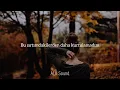 POIZI - Artık Sen Yoksun (Sözleri/Lyrics)