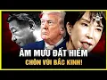 Download Lagu Tại Sao Trump Không Có Giải Nobel? Chiến Lược Đất Hiếm Của Bắc Kinh Được Kích Hoạt Sau 40 Năm Âm Mưu