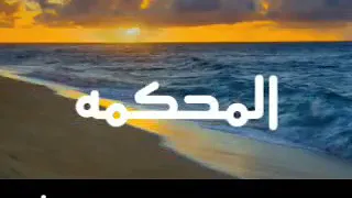 سيد الشيخ  فى المحكمه دندنها