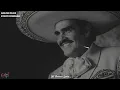 Vicente Fernández - Sublime Mujer (Letra/Lyrics)