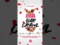 LindayPromo com Valentine Bar Crawl in Washington DC