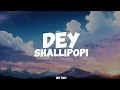 Download Lagu Shallipopi-Dey (lyrics)