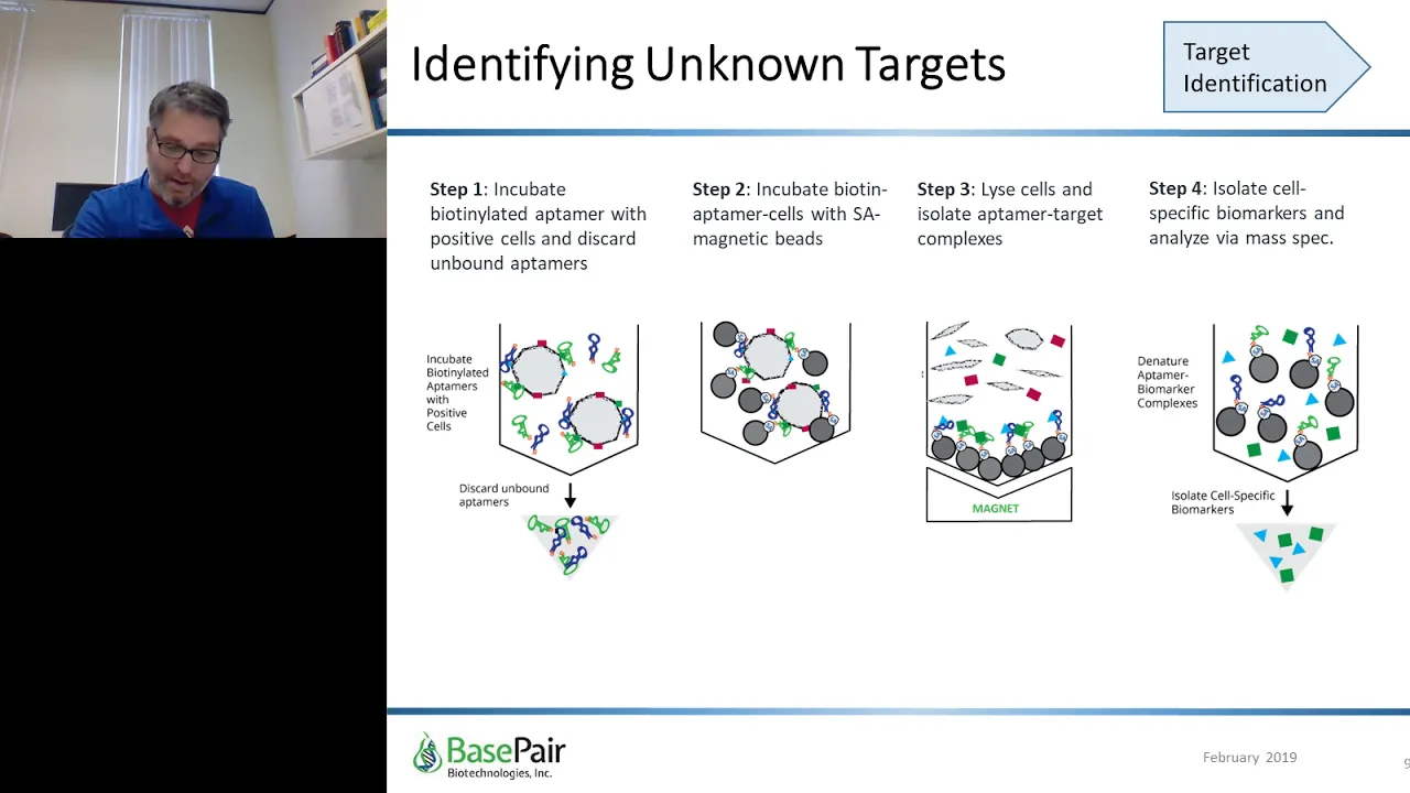 Aptamers in Drug Development: From Biomarker Discovery to Targeted Drug Delivery..
