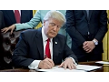 Executive orders explained