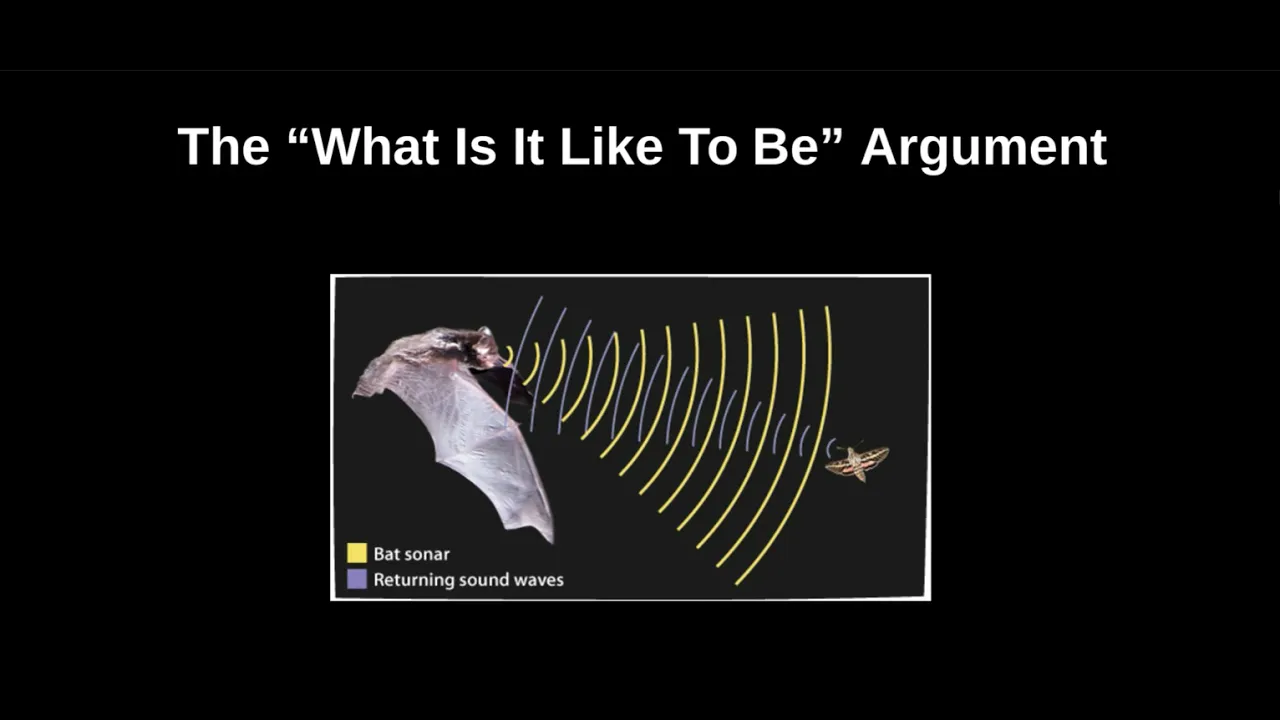 What It's Like to be a Bat and Explanatory Gaps