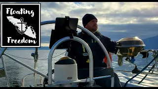 Maiden voyage home on our new Beneteau and sailing by hundreds of sea lions.