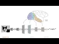 Deep Learning With Python Tensorflow - PyConSG 2016