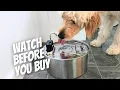 Pet Drinking Fountain Review Game-Changer for Dog Cat Hydration