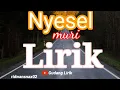 Download Lagu NYESEL MURI (LIRIK). lagu Sasak yang lagi virall