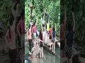 Download Lagu tiktok smp gunung gede😍 ngonten dimana❓| cantik viral #shorts