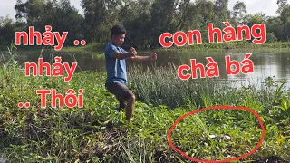 Chưa từng thấy bầy cá tra khủng nổi đầu. Siêu trúng cá Tràm Chim | Săn bắt SÓC TRĂNG