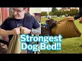 BEST CHEW-PROOF DOG BED You won t believe how strong it is