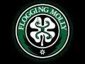 Download Lagu Flogging Molly - Whistles the Wind (HQ) + Lyrics