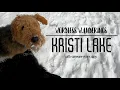 Download Lagu (mostly) Wordless Wanderings | Kristi Lake with Someone Else's Dogs | Real Time Hikes