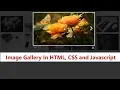 How To Create Image Gallery In HTML CSS and Javascript Lightbox Gallery