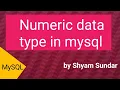 Numeric data type in mysql Shyam Sundar