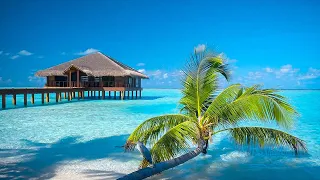 Calming Music For Nerves Healing Music For The Heart And Blood Vessels Relaxation Music For Soul  Calming Music For Nerves Healing Music For The Heart And Blood Vessels Relaxation Music For Soul