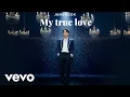 Jungkook -  My true Love (Album 2025) 私の本当の愛