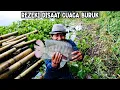 IKAN BESAR BERHASIL DI TANGKAP SAAT HUJAN DERAS \u0026 PETIR TAK HENTI²NYA MENGGUYUR | fishing cooking