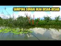 Lagu TIDAK DIRAGUKAN LAGI❗SPOT MANCING PINGGIR SUNGAI MEMANG ISTIMEWA