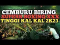 Download Lagu AWASS KEBANTING !!! DJ KARO CEMBURUU BIRING 2023 #JUNGLEDUTCH TERBARU FULL BOXINGGG 2023 [LEVI V2 ]