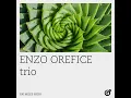 500 Miles High - Enzo Orefice trio