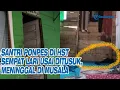 Download Lagu SANTRI Ponpes di HST Sempat Lari Usai Ditusuk, Sempat Teriak Takbir dan Meninggal di Musala