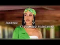 Tanasha X Diamond Platnumz -Gere(Official Video lyrics)