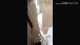 اوعي تنزل الشارع قبل ما تشوف الفيديو ده دندنها