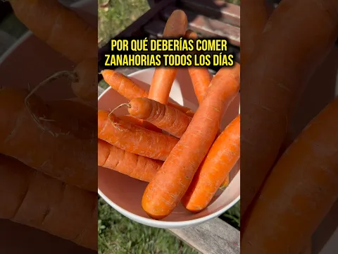 Come Zanahoria TODOS los Días y Mira Lo Que Pasa con Tus Hormonas 🥕✨