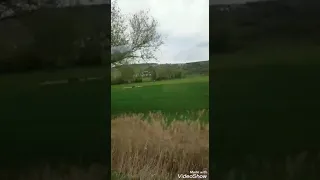 وعادي عادي محدش في الدنيا دي يتعلق بشيء الا وفراقو يشوف    دندنها