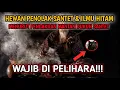 Download Lagu 5 HEWAN PENANGKAL SANTET DAN ILMU HITAM