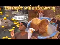 The Science Behind the Unproblematic Nature of the Capybara