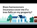 Home Insurance and Fallen Trees Are They Covered Progressive Answers