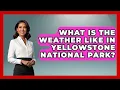 What Is The Weather Like In Yellowstone National Park - The Hiker s Advice