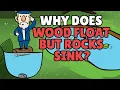 Why Does Wood Float But Rocks Sink Objects that Float and Sink in Water