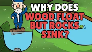 Why Does Wood Float But Rocks Sink Objects that Float and Sink in Water
