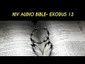 EXODUS 13 NIV BIBLE with text