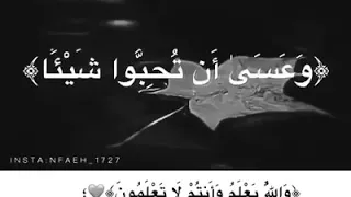 وعسى أن تكرهوا شيئا وهو خير ا لكم    صوت رااائع أحمد العجمي دندنها
